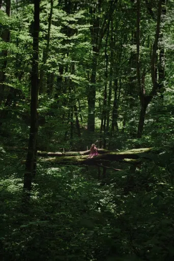 Kétoldali közelítés poster