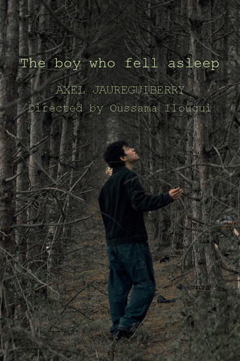 The boy who fell asleep poster