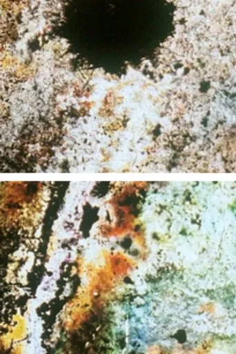 Baby Dream II poster