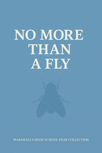 NO MORE THAN A FLY poster