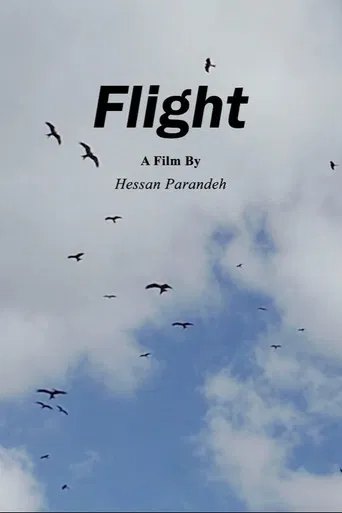 Flight poster