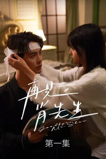 再见了，肖先生 poster