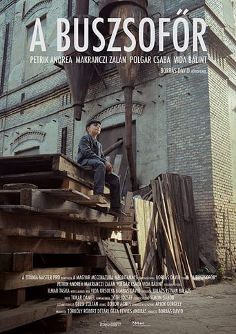 A Buszsofőr poster