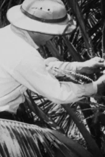 Álbum Cinematográfico de Sergipe poster