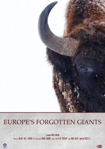 Europe's Forgotten Giants poster