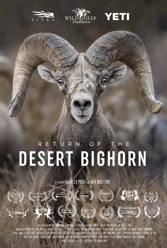 Return of the Desert Bighorn poster