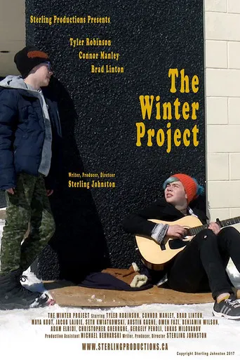 The Winter Project poster