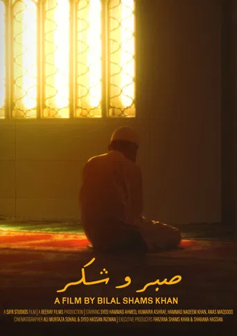 Sabr O Shukr poster