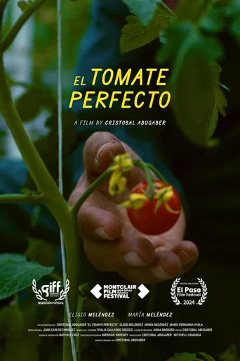 The Perfect Tomato poster