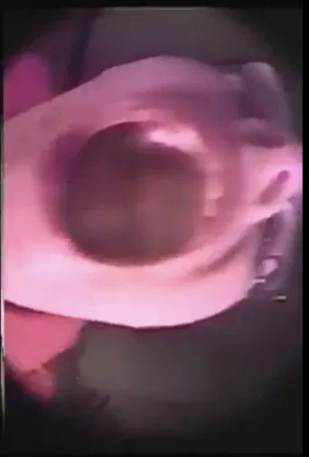 Tribute to Gloria Vanderbilt, Pt 2 poster