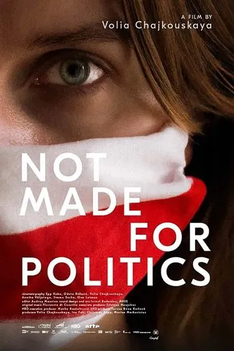Not Made for Politics poster