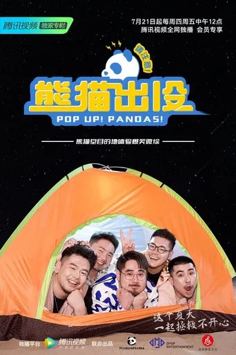 熊猫出没请注意 poster