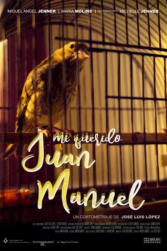 Mi querido Juan Manuel poster