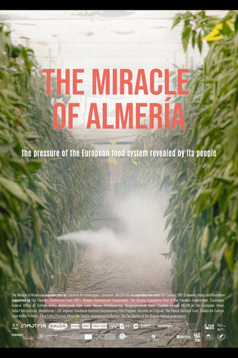 The Miracle of Almería poster