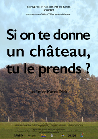 Si on te donne un château, tu le prends? poster