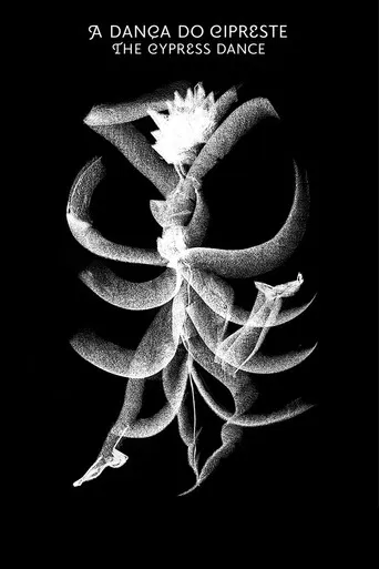 The Cypress Dance poster