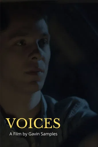 Voices poster