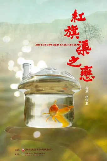 红旗渠之恋 poster