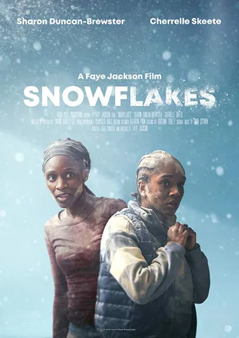 Snowflakes poster