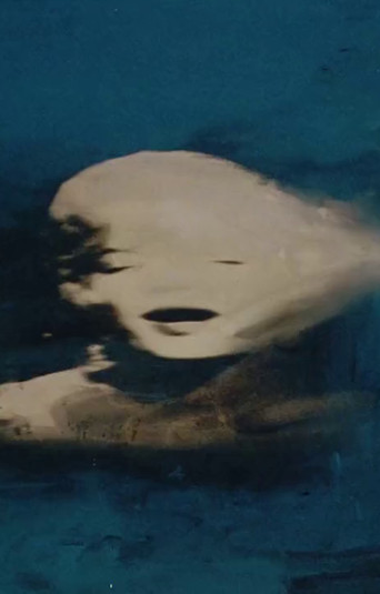 Biennale di Venezia 56° - Sigla poster