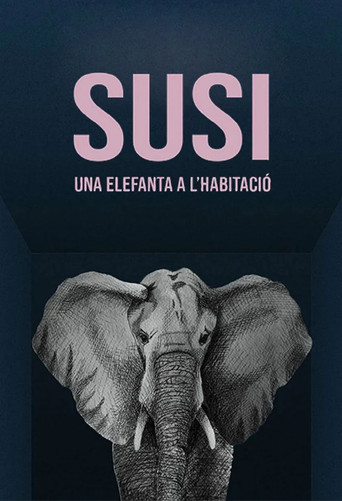 Susi, una elefanta a l'habitació poster