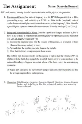 The Assignment poster