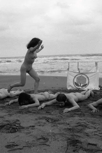 The White Hare of Inaba poster