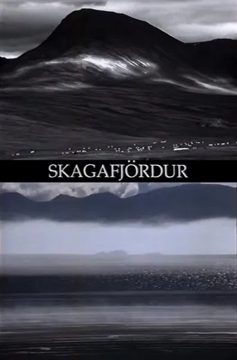 Skagafjördur poster