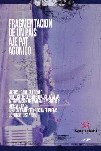 Fragment of a Patagonia Landscape poster