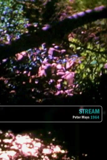 Stream poster