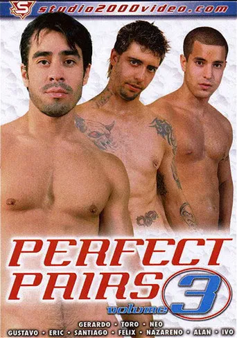 Perfect Pairs 3 poster
