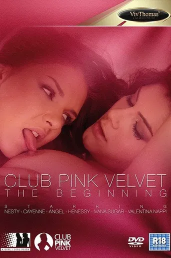 Club Pink Velvet - The Beginning poster