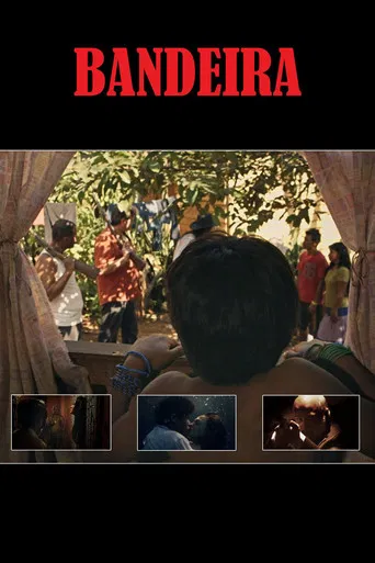 Four-Colored Banner poster