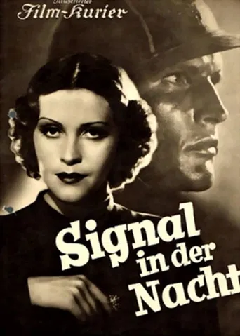 Signal in der Nacht poster