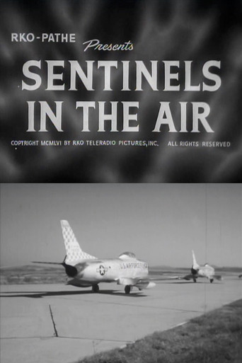 Sentinels in the Air poster