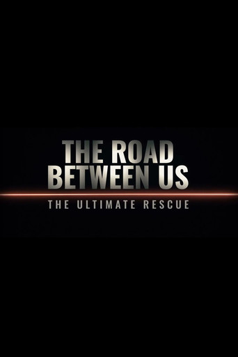The Road Between Us: The Ultimate Rescue poster