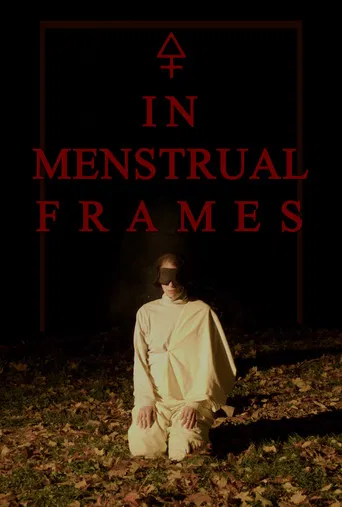 In Menstrual Frames poster