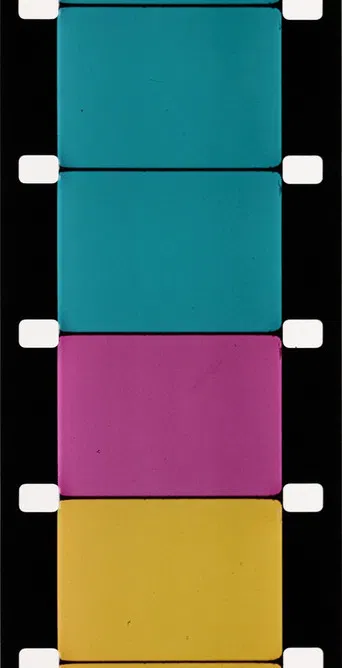 Analytical Studies I: The Film Frame poster
