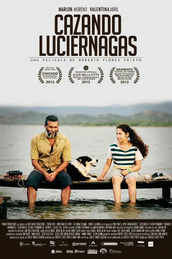 Chasing Fireflies poster