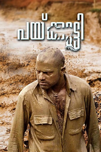 Paikutty poster