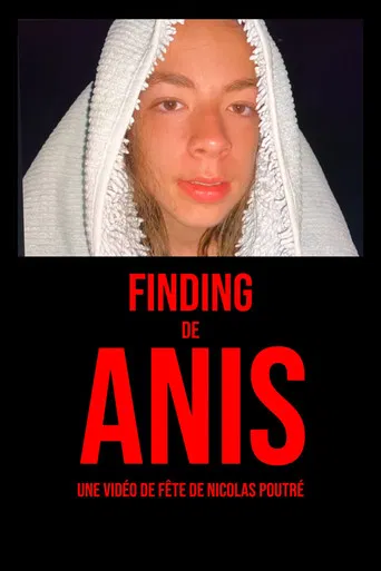 Anis's Finding poster