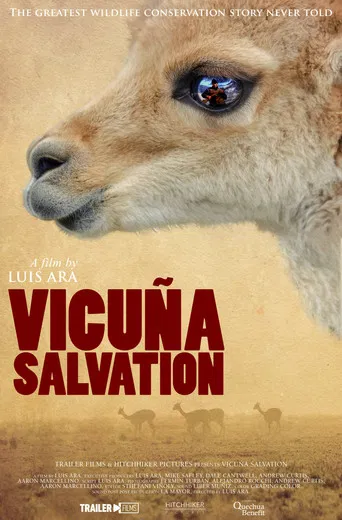 Vicuña Salvation poster