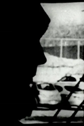 Perceptual Subjectivity poster