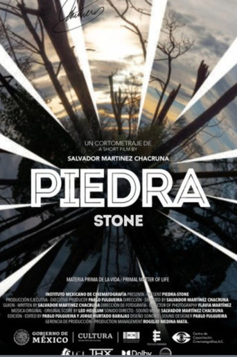 Piedra poster
