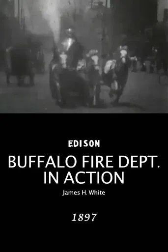 Buffalo Fire Department in Action poster