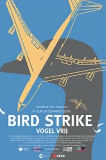 Bird Strike poster