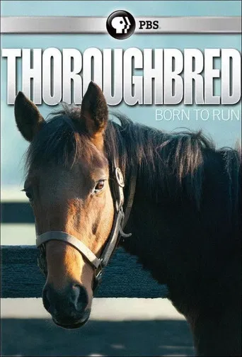 Thoroughbred: Born to Run poster