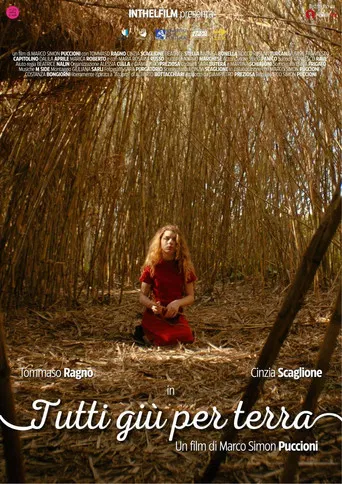 Tutti giù per terra poster