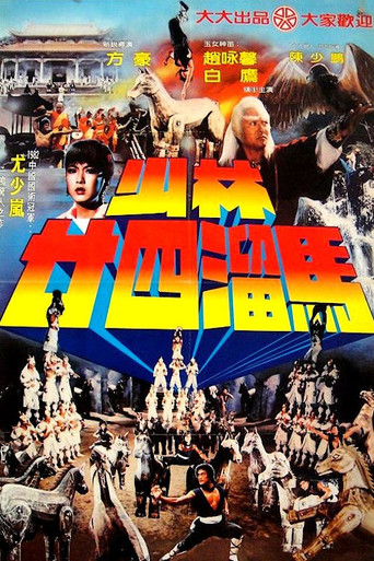 Raiders of the Shaolin Temple poster