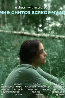 A Dream Within a Dream poster